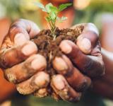 Los alimentos del futuro: ¿qué comeremos en 2050?