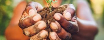 Los alimentos del futuro: ¿qué comeremos en 2050?