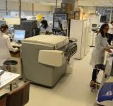 El municipio comenzó a realizar pruebas para la detección de la viruela símica en el Cemar