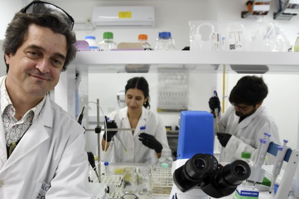 Nanociencias: una revolución en miniatura que "cambia la forma de ver el mundo"