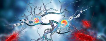 Comienza una nueva edición de la cumbre en neurociencias NS Innovation