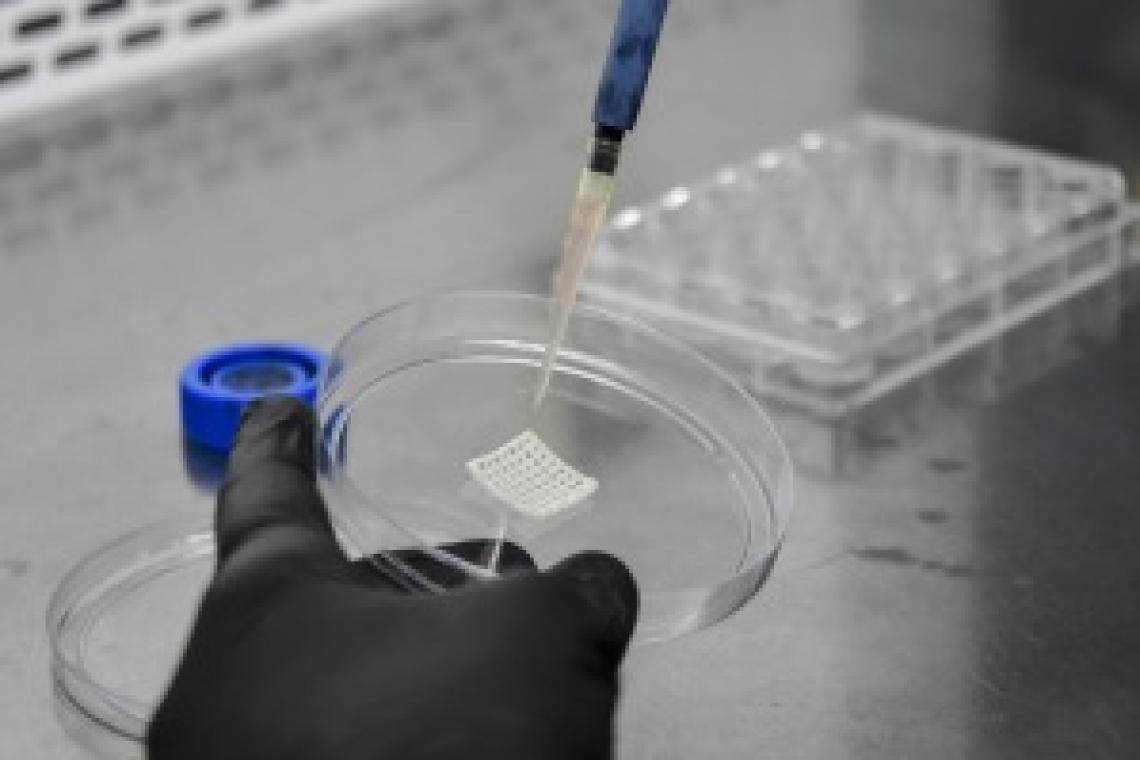 Científicos argentinos desarrollan biotinta que contiene aceite de cannabis para restaurar tejidos
