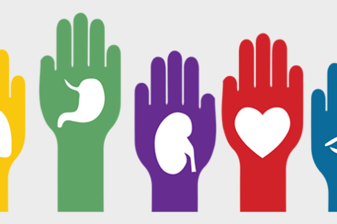 SANTA FE FUE LA SEGUNDA PROVINCIA EN ABLACIONES DE ÓRGANOS EN 2022