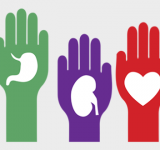 SANTA FE FUE LA SEGUNDA PROVINCIA EN ABLACIONES DE ÓRGANOS EN 2022