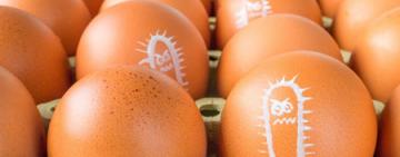 Senasa lanzó pautas para la prevención y el cuidado de la salud frente a la salmonelosis