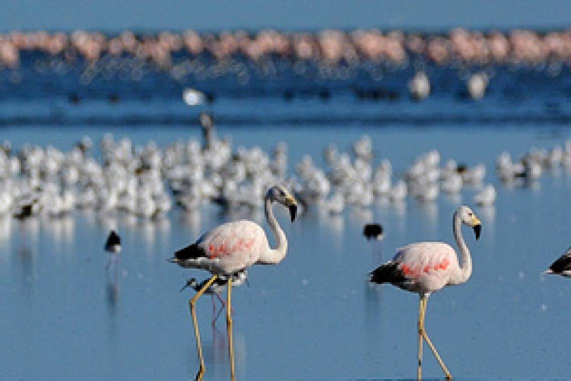 Turismo responsable en la naturaleza, un aliado de la conservación