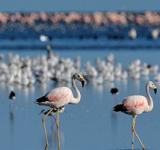 Turismo responsable en la naturaleza, un aliado de la conservación