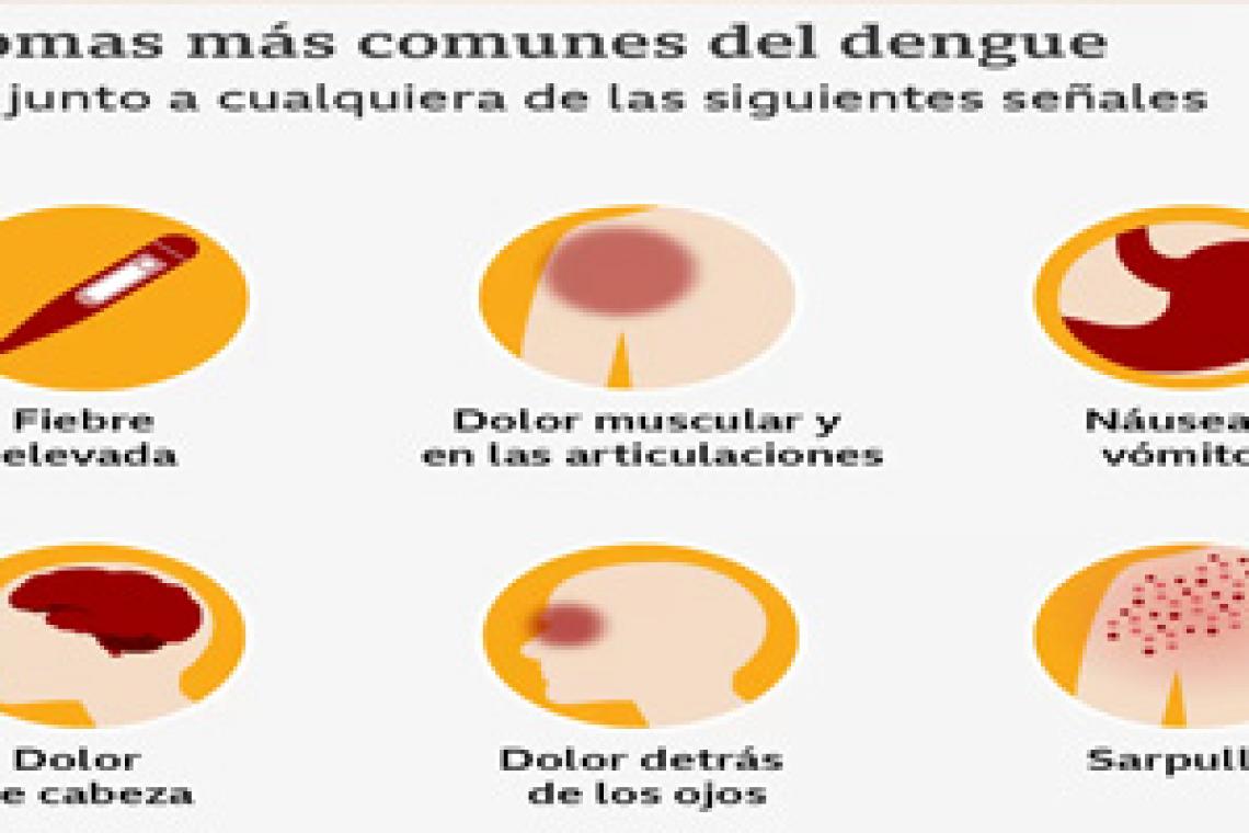 Dengue actualidad y síntomas