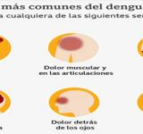 Dengue actualidad y síntomas