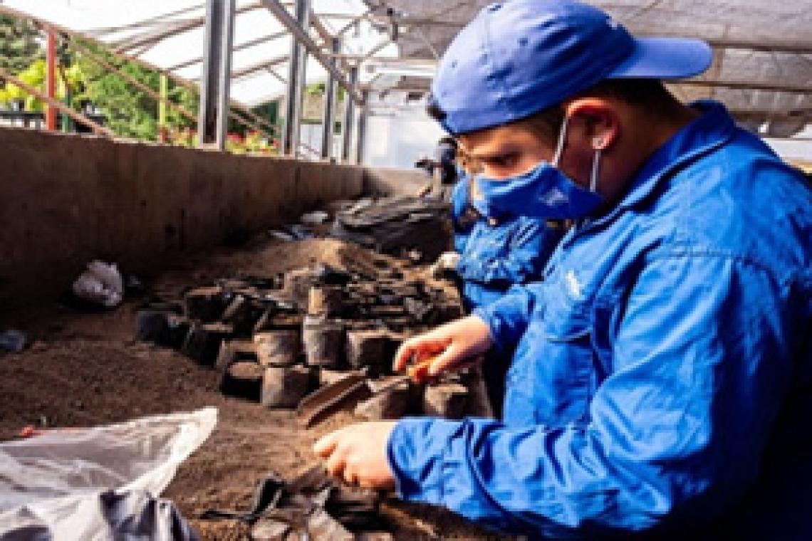 El municipio lanza nuevos cursos sobre jardinería y paisajismo