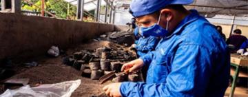 El municipio lanza nuevos cursos sobre jardinería y paisajismo