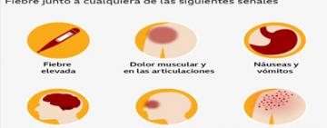 Dengue: «Es importante seguir con las medidas preventivas», dijo Caruana