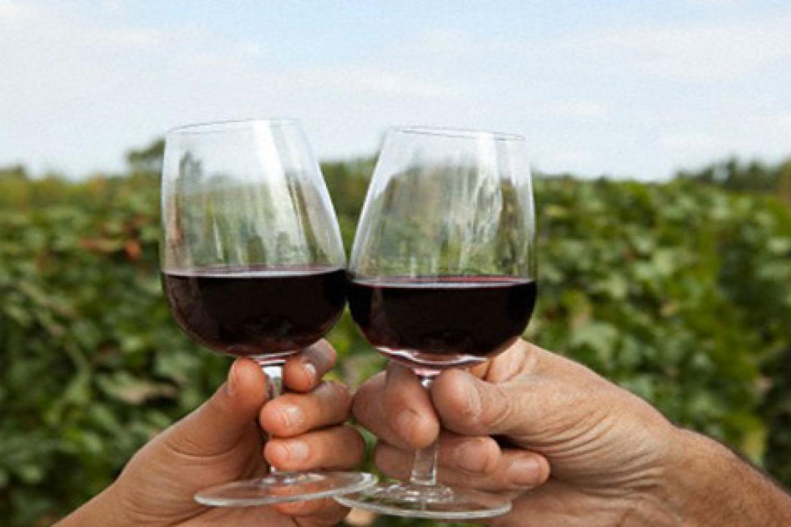 Celebración del Día del Malbec