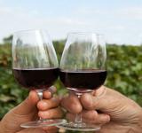 Celebración del Día del Malbec