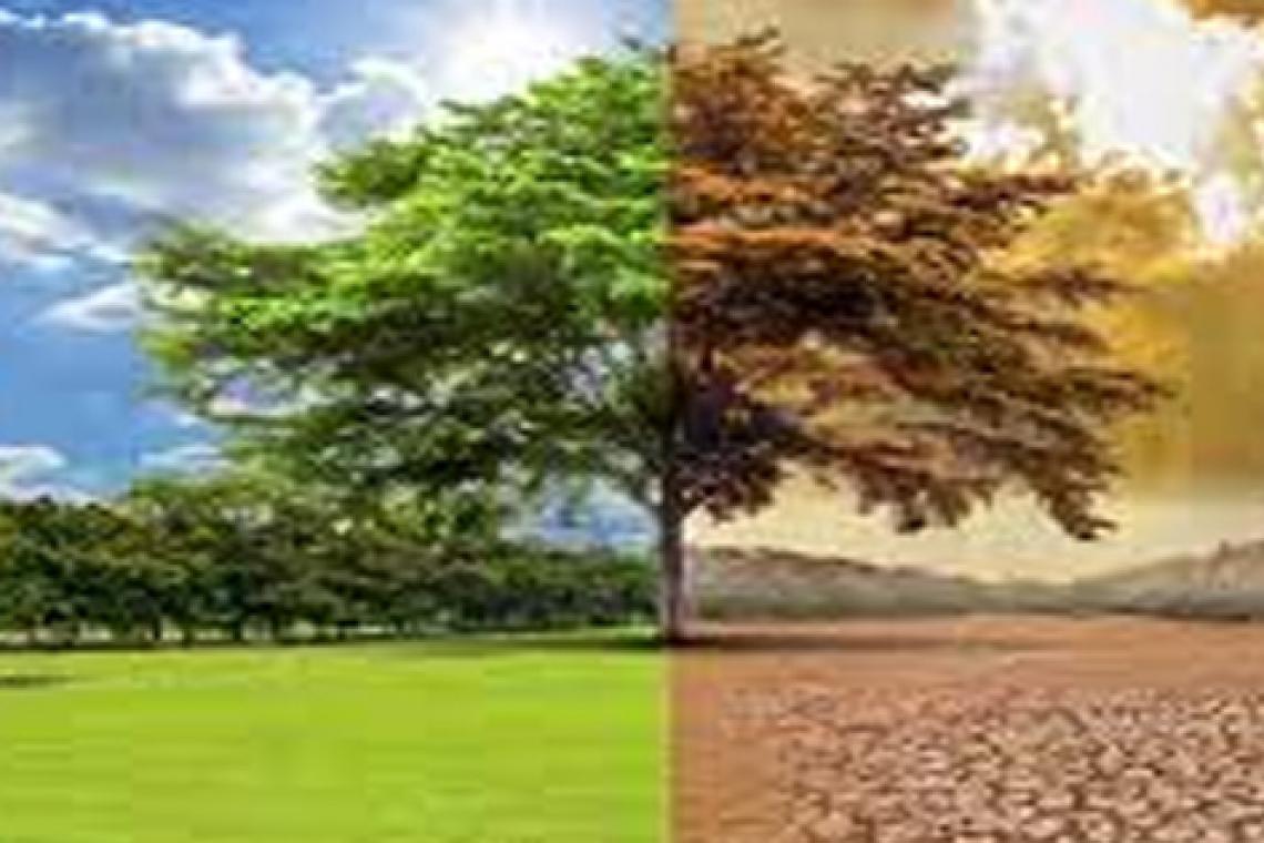 Derretimiento de glaciares, sequía, inundaciones y olas de calor récord en el mundo en 2022