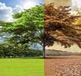 Derretimiento de glaciares, sequía, inundaciones y olas de calor récord en el mundo en 2022