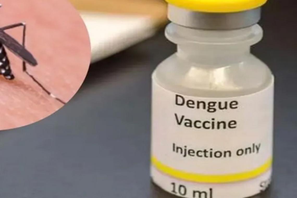 a ANMAT aprobó el uso de la vacuna del laboratorio Takeda contra el dengue