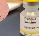 a ANMAT aprobó el uso de la vacuna del laboratorio Takeda contra el dengue