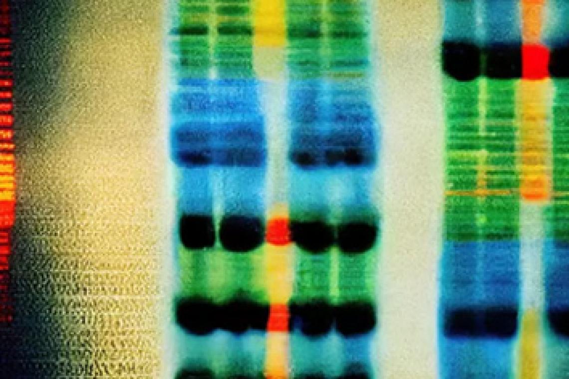 Qué revela el primer pangenoma humano que podría revolucionar la medicina