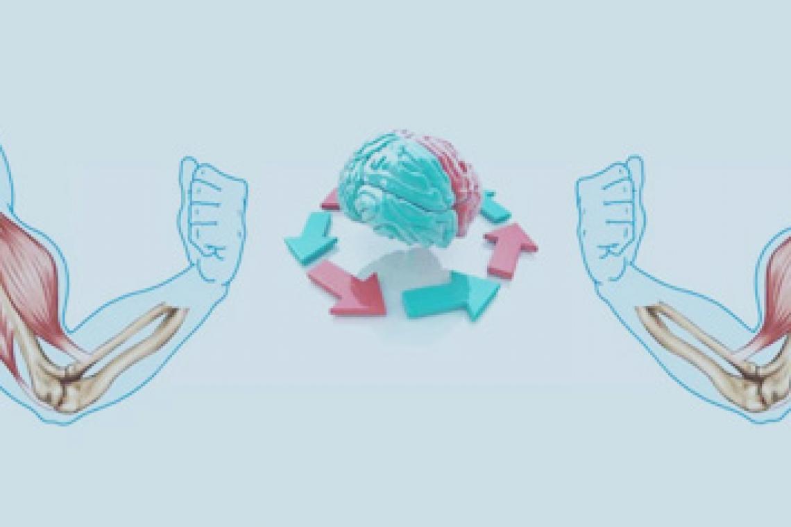 La educación cruzada, el fenómeno por el que entrenar una extremidad sana puede ayudar a curar la lesionada