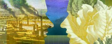 La educación ambiental no se trata sólo del cuidado de la naturaleza