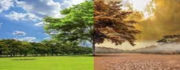 El calentamiento del planeta se acelera y sube +0,2º C por década