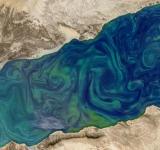 Más de la mitad del océano ha cambiado de color