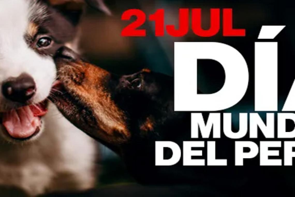 Feliz día del perro