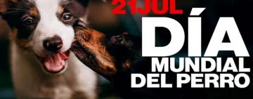 Feliz día del perro