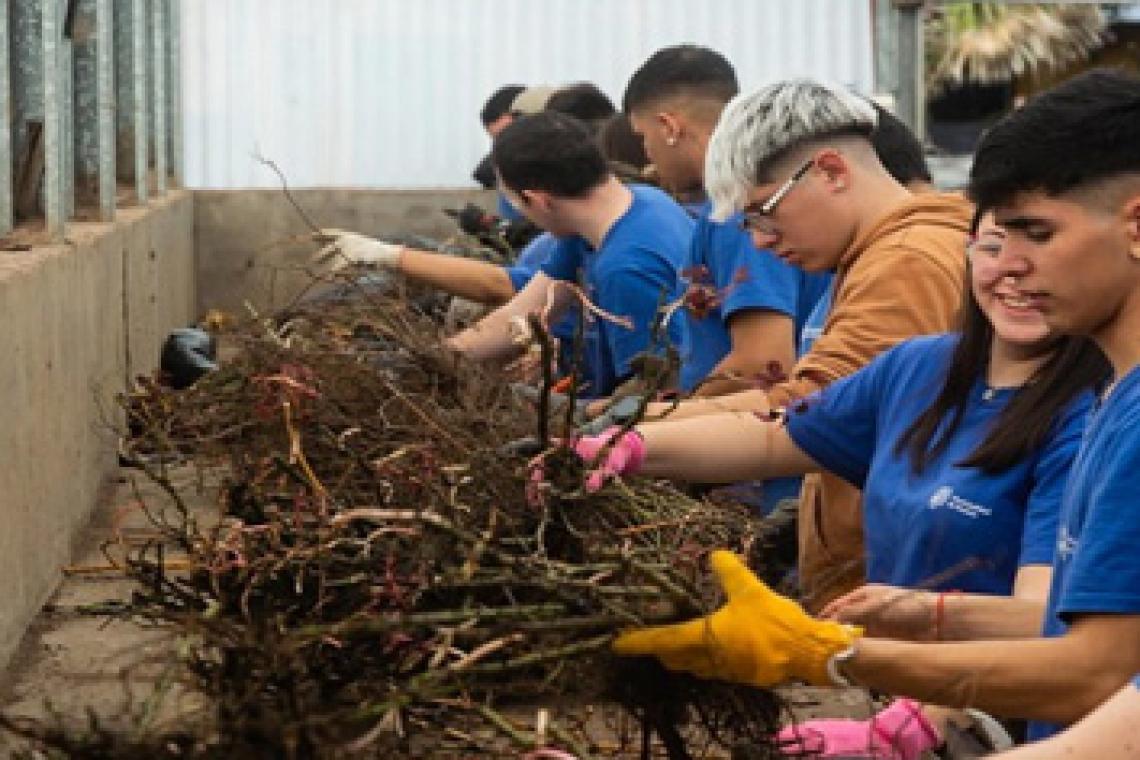 El municipio renovó El Rosedal con la plantación de 530 nuevos ejemplares