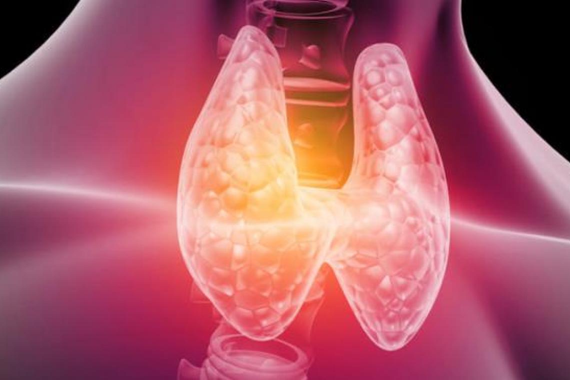 Día Mundial del Cáncer de Tiroides. A pesar de su pequeño tamaño, su impacto en la salud es inmenso