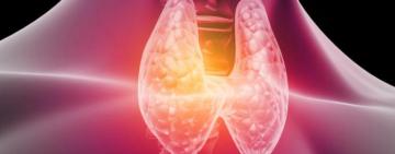 Día Mundial del Cáncer de Tiroides. A pesar de su pequeño tamaño, su impacto en la salud es inmenso