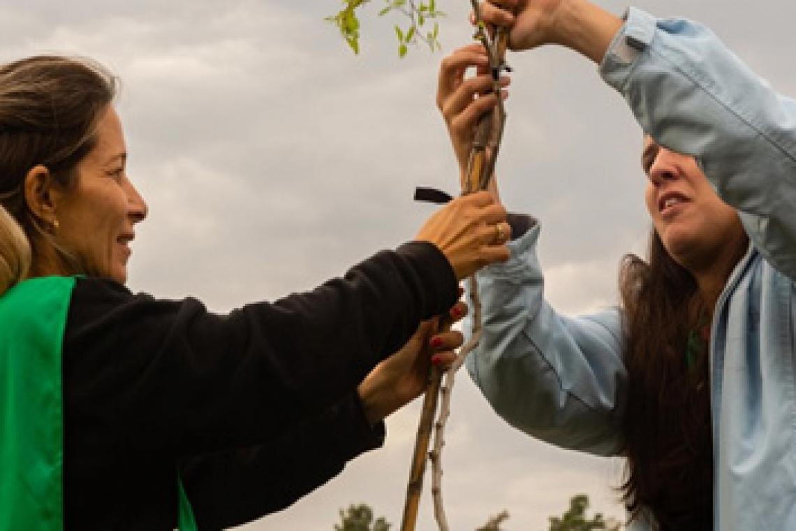 El Municipio impulsa una nutrida agenda por el Día internacional contra el cambio climático
