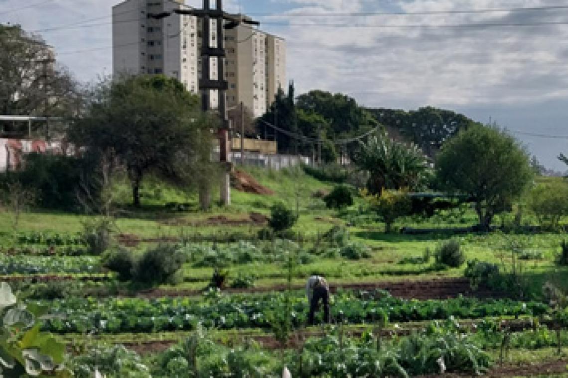 En común 2023 aportes de la Agroecología a la resiliencia de las ciudades