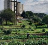 En común 2023 aportes de la Agroecología a la resiliencia de las ciudades
