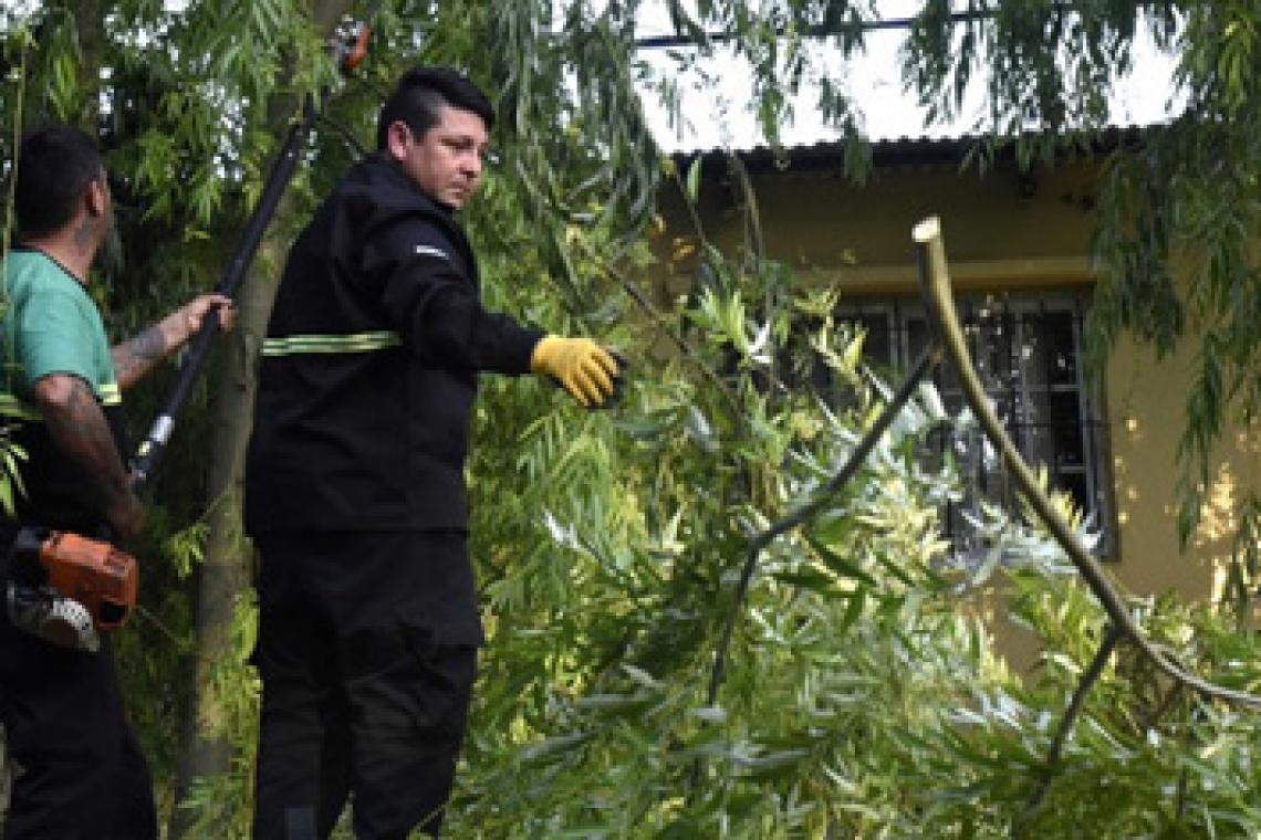 La Municipalidad realiza trabajos luego de la tormenta mientras continúa el alerta por vientos fuertes