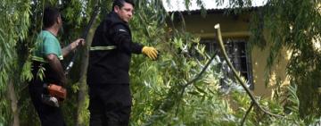 La Municipalidad realiza trabajos luego de la tormenta mientras continúa el alerta por vientos fuertes
