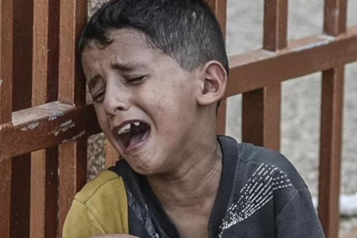 "La población entera de Gaza está siendo deshumanizada"