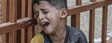 "La población entera de Gaza está siendo deshumanizada"