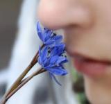 El ser humano huele "en estéreo", sugiere estudio científico