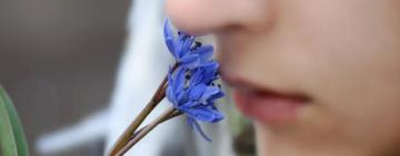 El ser humano huele "en estéreo", sugiere estudio científico