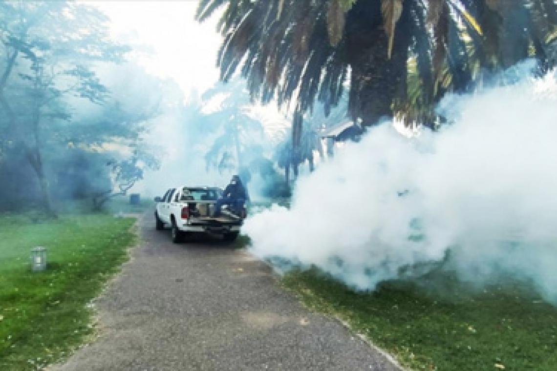 El Municipio refuerza operativos de fumigación y desmalezado en toda la ciudad
