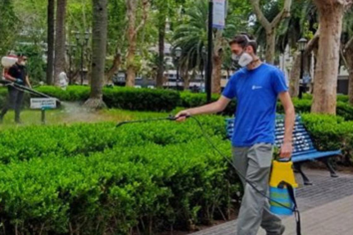 El municipio continúa con operativos de fumigación en espacios verdes