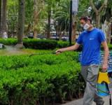 El municipio intensifica la fumigación en espacios verdes