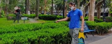 El municipio intensifica la fumigación en espacios verdes