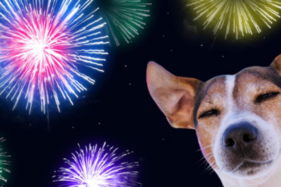 Fiestas sin pirotecnia: su uso perjudica a personas con autismo y a animales