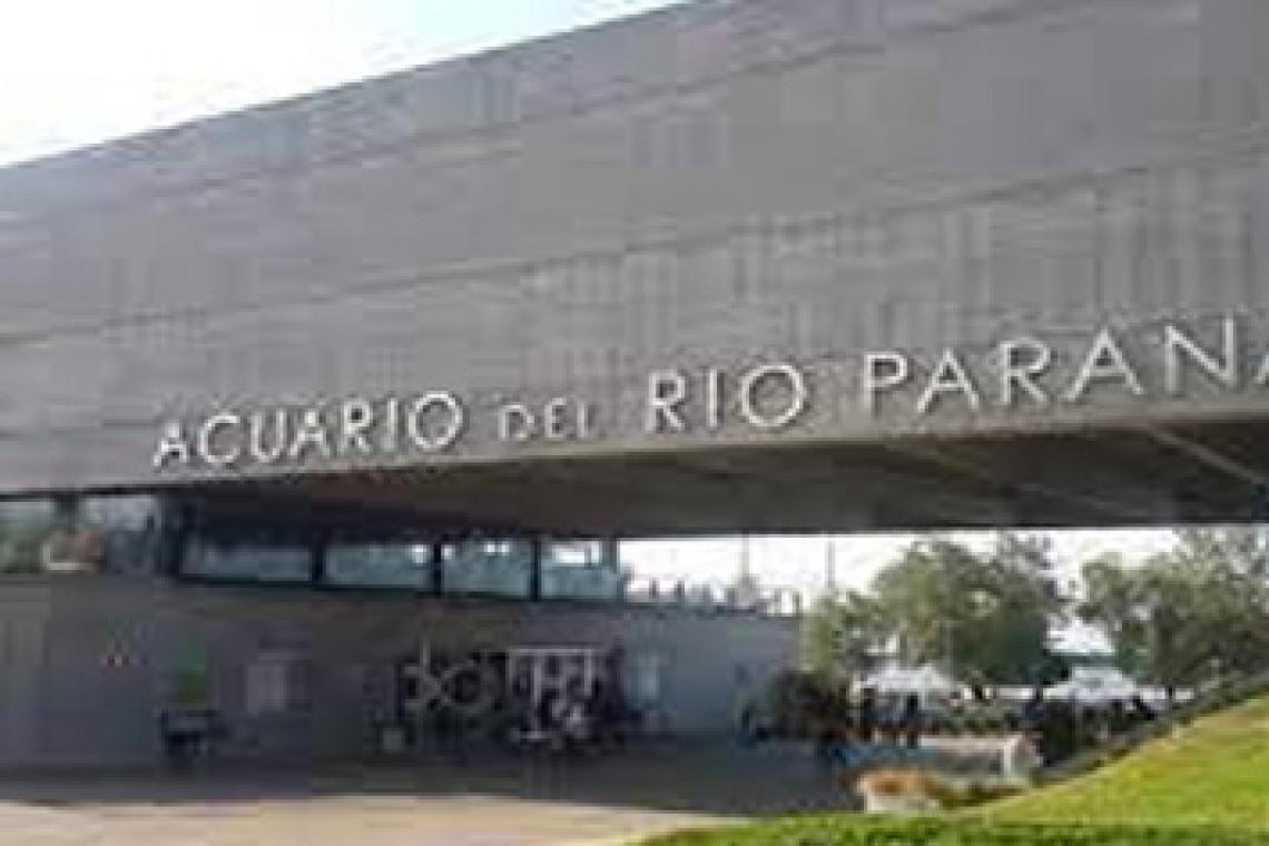 El “Acuario del Río Paraná” celebra sus 6 años con una propuesta para toda la familia