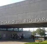 El “Acuario del Río Paraná” celebra sus 6 años con una propuesta para toda la familia