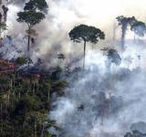Los incendios en el Amazonas generaron un récord de emisiones de gases en Sudamérica
