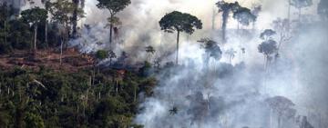 Los incendios en el Amazonas generaron un récord de emisiones de gases en Sudamérica